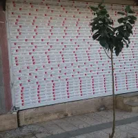 اجاره مغازه ۲۱ متری در شهرک طلائیه