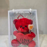 خرس قرمز قلب به دست