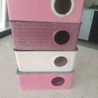 لونه عروس هلندی  و لونه مرغ عشق|لوازم جانبی حیوانات|طبس, |دیوار