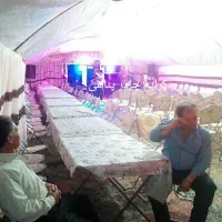 کرایه چادر تالار سیار اجاره داربست عروسی|خدمات پذیرایی، مراسم|اردبیل, |دیوار