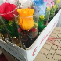 گل . هدیه روز مادر|گل مصنوعی|یزد, |دیوار