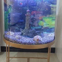 اکواریوم نیم دایره با ارتفاع و قطر  ۶۰×۵۰