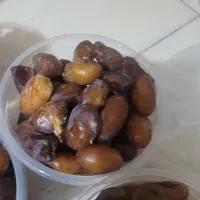 خرما کبکاب درجه یک|عمده‌فروشی|رشت, بلوار گیلان|دیوار