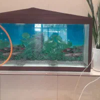 آکواریوم به قیمت ۱۵۰۰۰۰۰