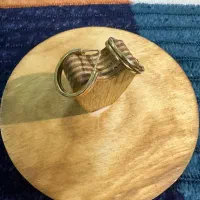 گوشواره حلقه و آویز|جواهرات|مشهد, طلاب|دیوار