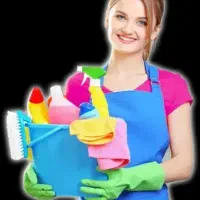 کار در منزل