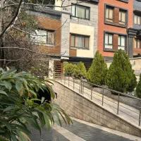 170-متر-بالای-کاج