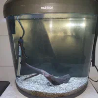 آکواریوم نیم دایره ماهیران ۸۰ لیتر