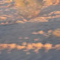 یک قطعه زمین شهرک جهاد زاهدان