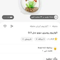 اکواریوم رومیزی|ماهی|کرج, شهرک فهمیده|دیوار