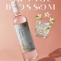 عکاسی وساخت ویدئو با هوش مصنوعی.