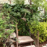 خانه دو طبقه و نیم حیاط دار