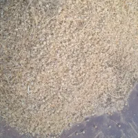 اسپند|خوردنی و آشامیدنی|سبزوار, اسلام آباد|دیوار