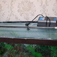 اکواریوم|ماهی|الوند, |دیوار