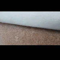 پالاز موکت خیلی نو