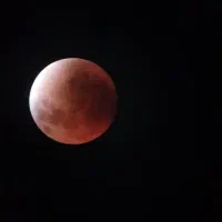حسابدار و کمک حسابدار
