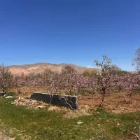 ۲۲۸متر زمین دیوارکشی سند شهرکی جابان دماوند.اقساطی|فروش زمین و ملک کلنگی|دماوند, دماوند|دیوار