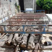 تختخواب|تخت و سرویس خواب|کوه چنار, |دیوار