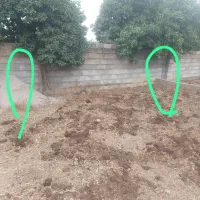 فروش زمین مازندران (ارطه وشیخ رجه)|فروش زمین و ملک کلنگی|ارطه, |دیوار