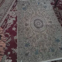 قالی محلی|فرش|شیراز, لاله|دیوار