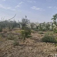 به یک کارگر با خانواده نیازمندیم.