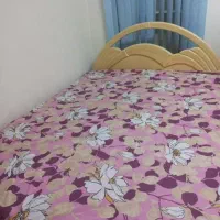 سوئیت تک خواب باتمام امکانات|اجارهٔ کوتاه‌مدت آپارتمان و سوئیت|فومن, |دیوار