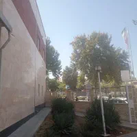 نیروی خانم و آقا