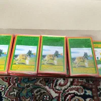 ترقه|کلکسیون و سرگرمی|خرمدره, |دیوار