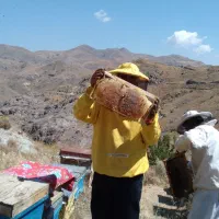 عسل طبیعی ورزقان