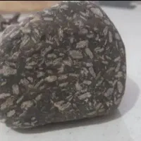 فسیل گیاهی