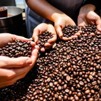 فروش قهوه رست شده خاص|کافی‌شاپ و رستوران|آستارا, |دیوار