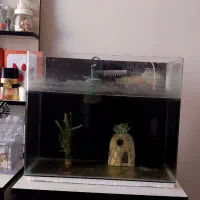 آکواریوم با لوازم کامل اندازه 45 ×27 . ارتفاع 37