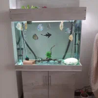 اکواریوم حرفه ای
