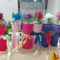 فروش گلها ودسته گل برای روز مادر با قیمت مناسب|گل و گیاه طبیعی|فاضل آباد, |دیوار