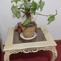 مبل کلاسیک 7 نفره|مبلمان خانگی و میز عسلی|گنبد کاووس, |دیوار