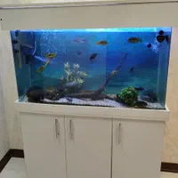 آکواریوم (زیبا و آرامش بخش)