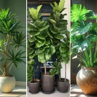 نمایندگی رسمی قرص کود گیاهی/رشدسریع گل وگیاه|گل و گیاه طبیعی|بجنورد, |دیوار