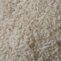 برنج  لاشه هاشمی