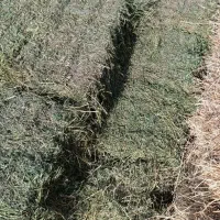 یونجه پرس|عمدهفروشی|بران, |دیوار