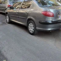 ۲۰۶ اس دی ۸۶ دلفینی سالم