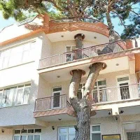 سنکار کاشیکار