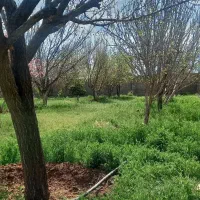 باغشهری