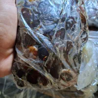 خرما کبکاب|خوردنی و آشامیدنی|جم, |دیوار