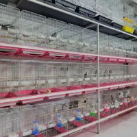 پرنده و پت شاپ گالارز