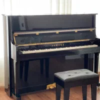 پیانو دیجیتال طرح آکوستیک Yamaha ZP-48