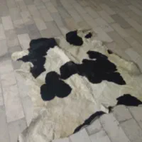 پوست گاوی دباغی شده
