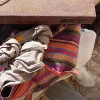 عودسالم‌درحدنو‌بفرش‌میرسد