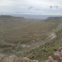 فروش زمین باغی