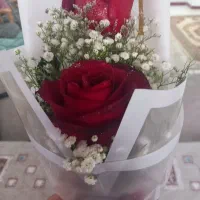 اموزرانندگی