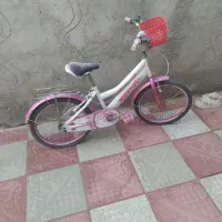 دوچرخه سالم شماره
